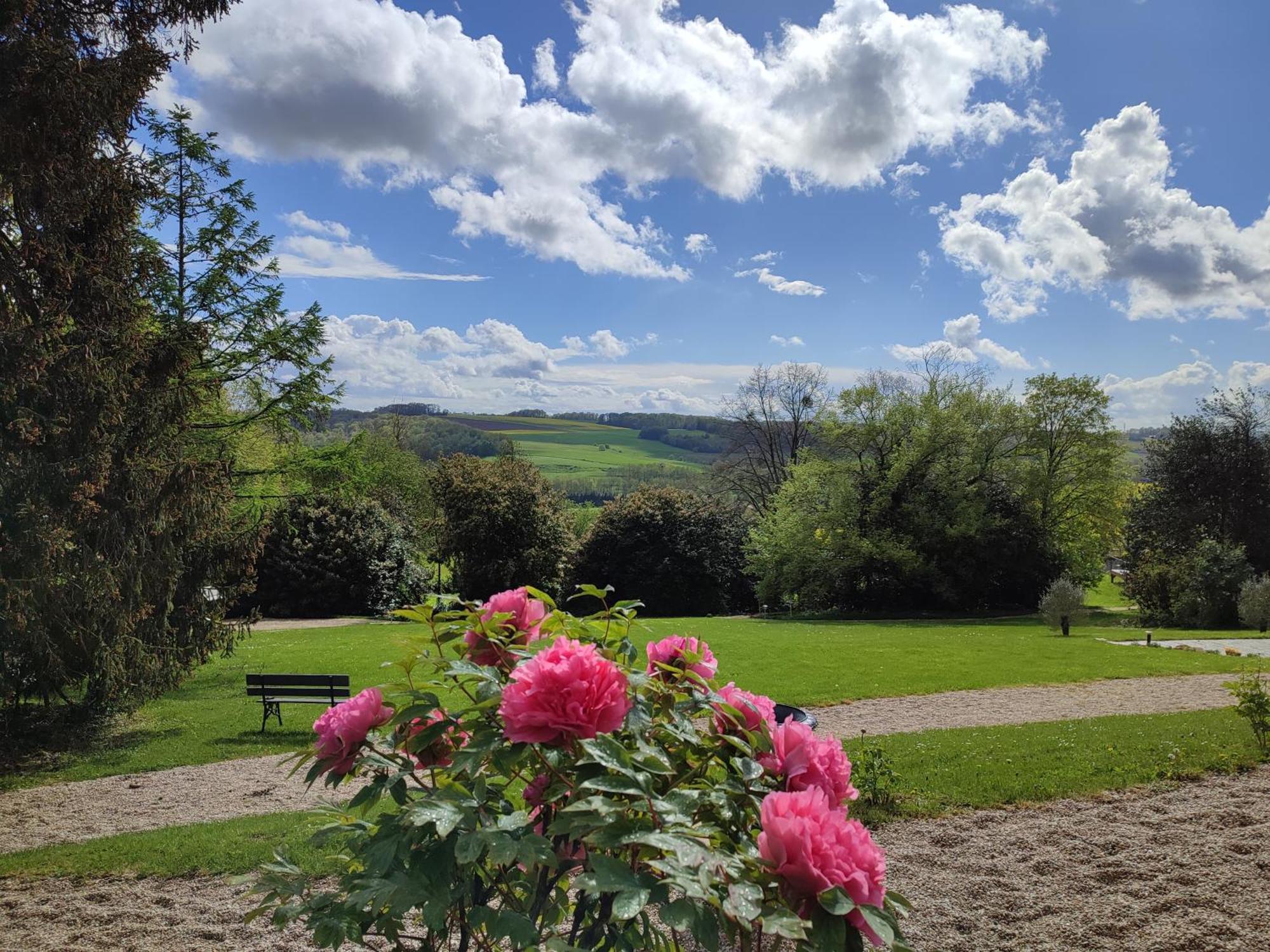 Demeure De La Garenne Bed & Breakfast Montmirail  Exterior foto