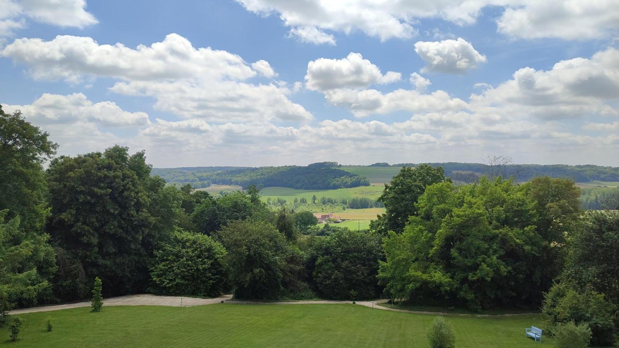 Demeure De La Garenne Bed & Breakfast Montmirail  Exterior foto